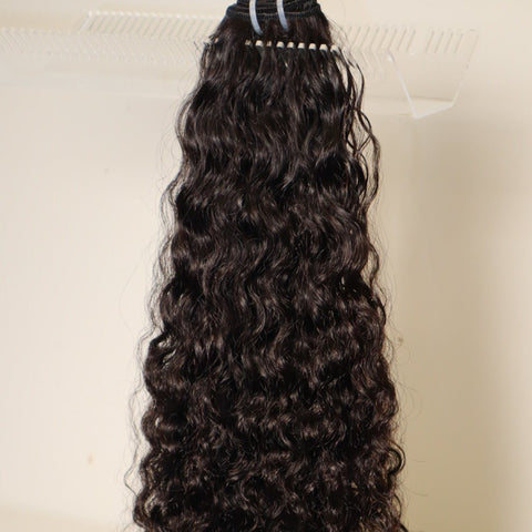 Burmese Curl Weft